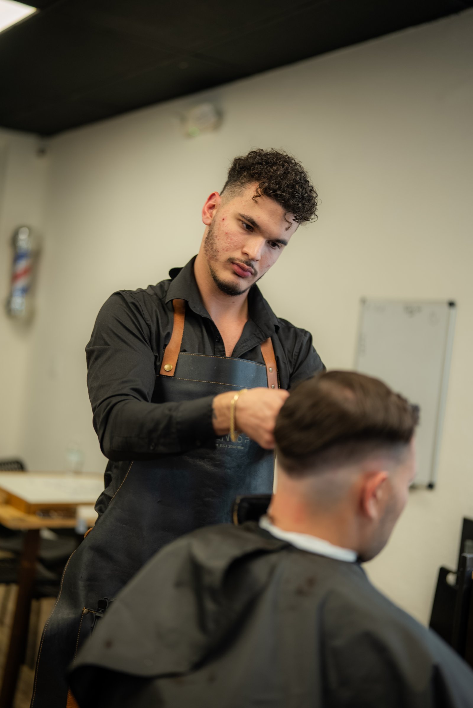 Alexander di' Ferrer trabajando